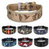 Collier Réfléchissant Haute Visibilité pour Chiens Moyens & Grands – Sécurité