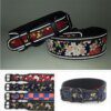 Collier Réfléchissant Haute Visibilité pour Chiens Moyens & Grands – Sécurité