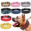 Collier Réfléchissant Haute Visibilité pour Chiens Moyens & Grands – Sécurité