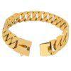 Collier de Bain en Métal Doré pour Chien – Résistance Absolue