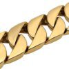 Collier de Bain en Métal Doré pour Chien – Résistance Absolue