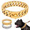 Collier de Bain en Métal Doré pour Chien – Résistance Absolue