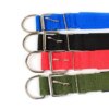 Collier pour chien Solides en Nylon pour Petits, Moyens et Grands Chiens