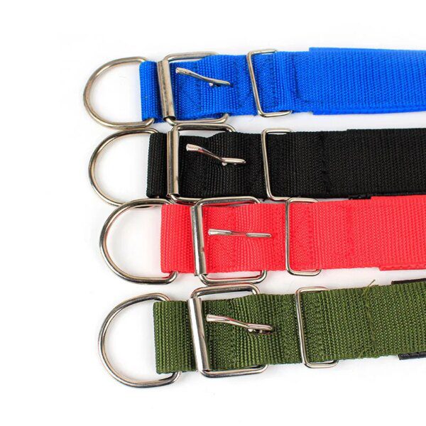 Collier pour chien Solides en Nylon pour Petits, Moyens et Grands Chiens
