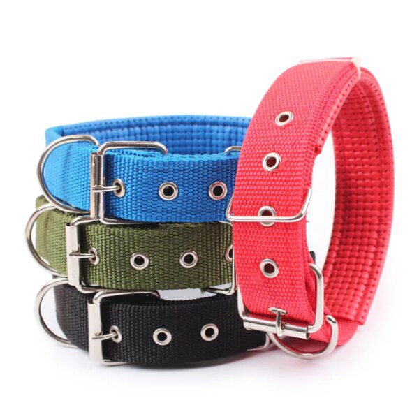 Collier pour chien Solides en Nylon pour Petits, Moyens et Grands Chiens