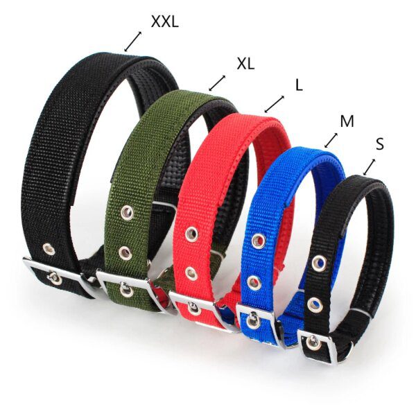 Collier pour chien Solides en Nylon pour Petits, Moyens et Grands Chiens