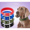 Collier pour chien Solides en Nylon pour Petits, Moyens et Grands Chiens