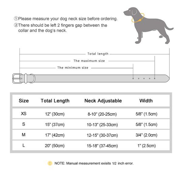 Collier Chat Bling en Cristal – Personnalisé Gratuit avec Nom