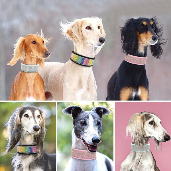 Collier Ultra-Confort pour Grands Chiens – Robustesse Maîtrisée,  Pitbull rembourré doux