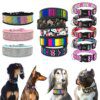 Collier Ultra-Confort pour Grands Chiens – Robustesse Maîtrisée,  Pitbull rembourré doux