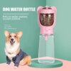 gourde pour chien Bouteille d'eau Portable avec bol pour chien, multifonction