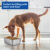 Grand bol en acier inoxydable 4,5 L pour chien & chat – Nourriture