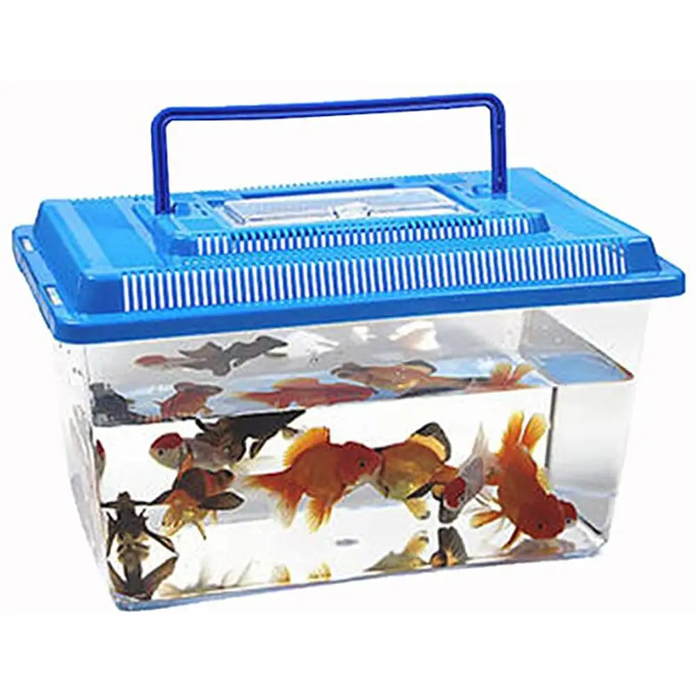 Aquarium - Guide d'achat 2026
