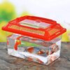 petit aquarium Boîte Transparente Portable pour Élevage d'Animaux de Compagnie