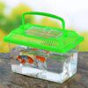 petit aquarium Boîte Transparente Portable pour Élevage d'Animaux de Compagnie