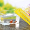 petit aquarium Boîte Transparente Portable pour Élevage d'Animaux de Compagnie