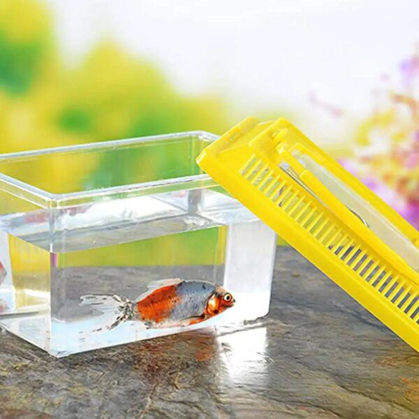 petit aquarium Boîte Transparente Portable pour Élevage d'Animaux de Compagnie