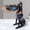 Statue Majordome Escaldog – Sculpture chien en résine avec boîte