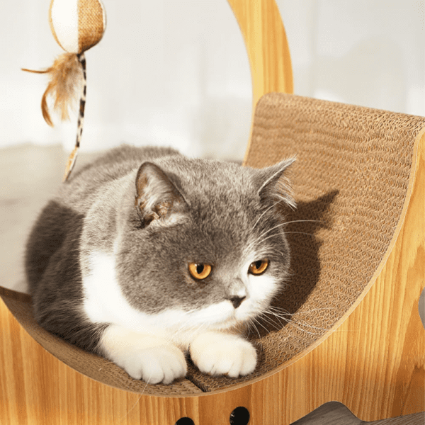 Griffoir Chat – Planche à Gratter à Dossier Creux