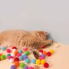 121350-cceb08.jpg Jouet pour Chat – Mini Pompons Interactifs en Peluche