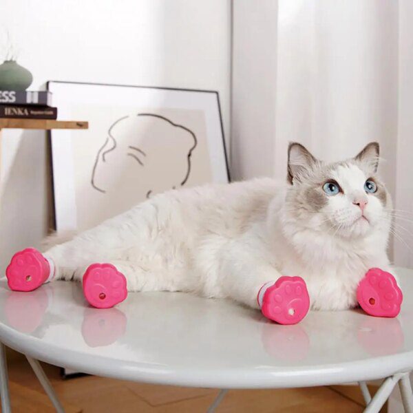 121809-93a5de.jpg Couvre-griffes réglables pour chat & chaton – Protection anti-rayures