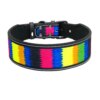 Collier Nylon Rembourre Chien – Confort et Visibilité