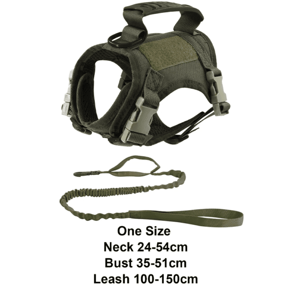 harnais chat anti fugue Ensemble de laisse réglable en nylon pour chat, service d'entraînement militaire