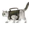 harnais chat anti fugue Ensemble de laisse réglable en nylon pour chat, service d'entraînement militaire