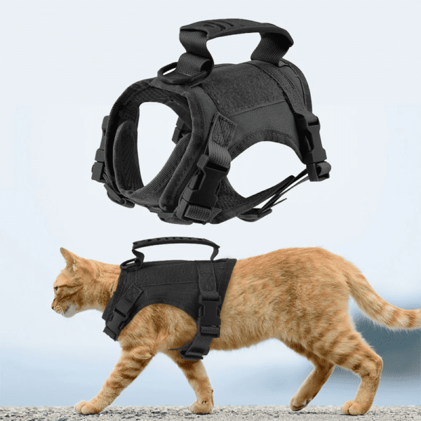 harnais chat anti fugue Ensemble de laisse réglable en nylon pour chat, service d'entraînement militaire