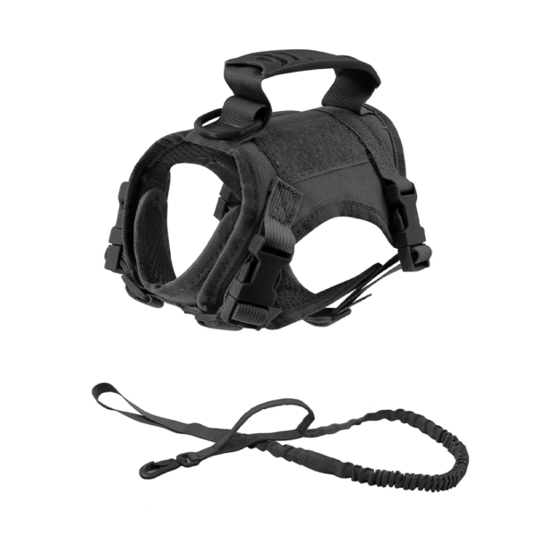 Harnais chat anti-fugue reglable variante Black Set