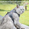 Harnais Chat Anti-Fugue Réfléchissant