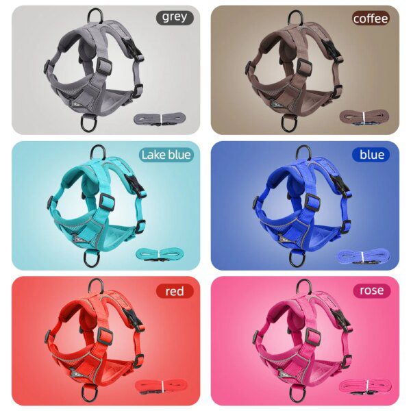 Harnais Chat Anti-Fugue Réfléchissant