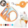 harnais chat anti fugue Ensemble harnais et laisse pour chat, accessoire en Nylon respirant