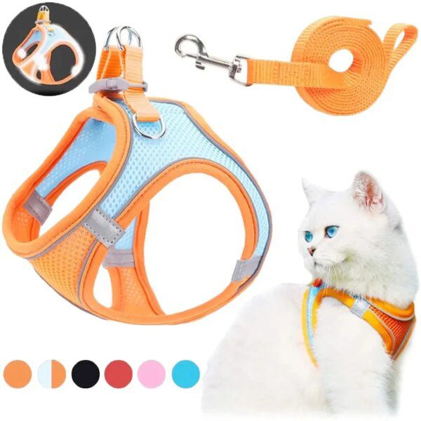 122079-2a1b2c.jpg harnais chat anti fugue Ensemble harnais et laisse pour chat, accessoire en Nylon respirant