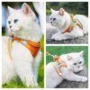 harnais chat anti fugue Ensemble harnais et laisse pour chat, accessoire en Nylon respirant
