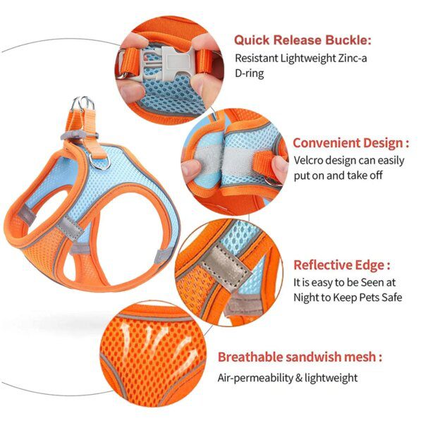 harnais chat anti fugue Ensemble harnais et laisse pour chat, accessoire en Nylon respirant