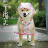 122457-933e2e.jpg Manteau imperméable pour chien 🧥 protection hivernale intégrale