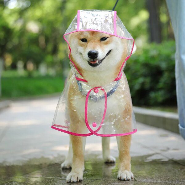 122473-f553a0.jpg Manteau Impermeable Chien – Reste au Sec sous la Pluie