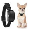 Collier Anti-Aboiement Ultrasonique Rechargeable – Spécial Petit Chien