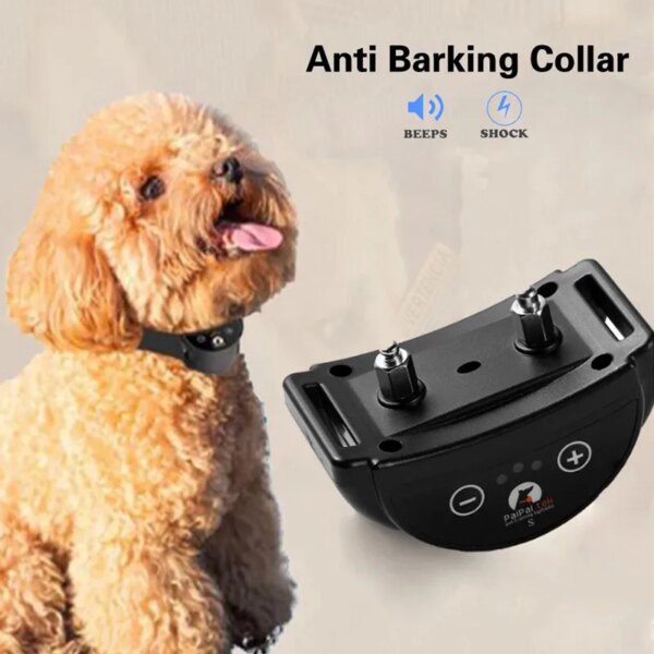 Collier Anti-Aboiement Ultrasonique Rechargeable – Spécial Petit Chien