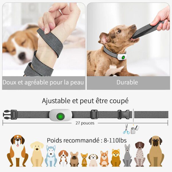 Collier de Dressage Électrique avec Télécommande – TinMiu™