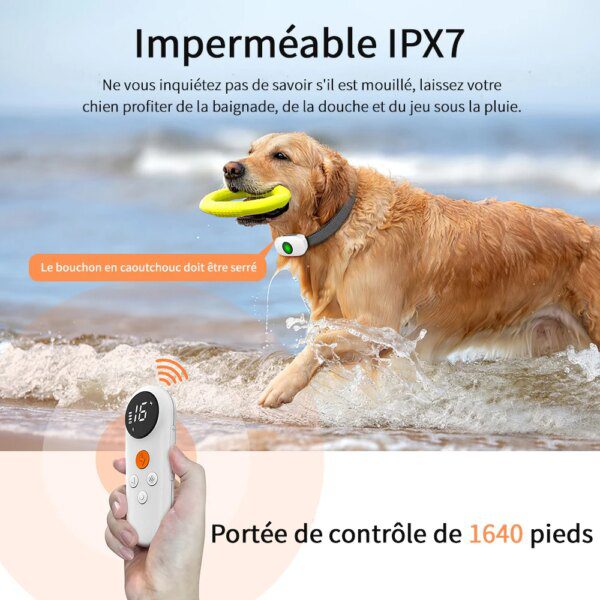 Collier de Dressage Électrique avec Télécommande – TinMiu™