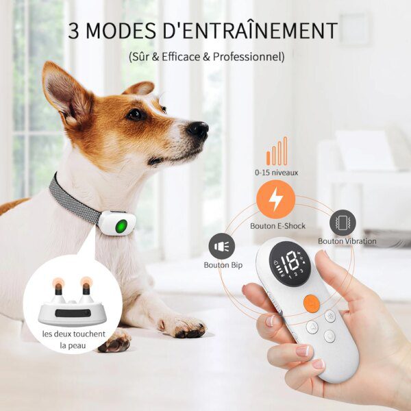 Collier de Dressage Électrique avec Télécommande – TinMiu™