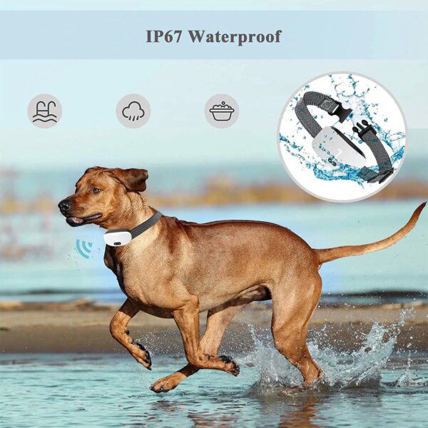 Collier Anti-Aboiement Son vibrant anti-aboiement pour petits et grands chiens