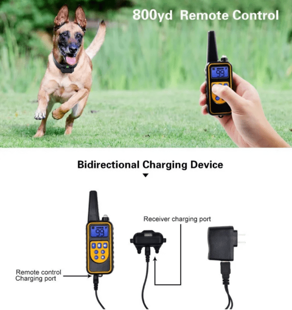 Collier de Dressage Électrique Anti-Aboiement pour Chien – Télécommande 800m