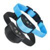 Collier anti-aboiement bip et choc pour chien