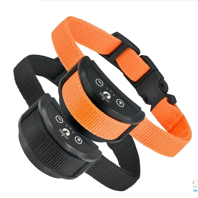 Black Orange Collar