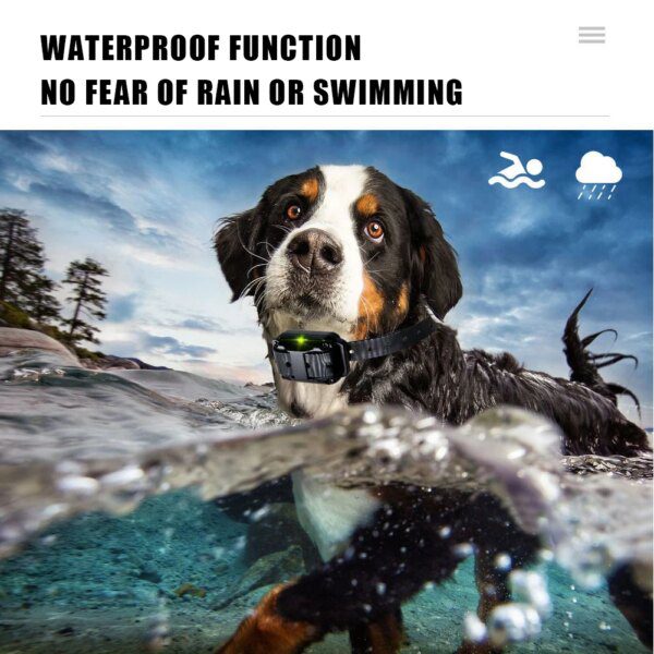 123914-2a1c7c.jpg Collier Anti-Aboiement & Dressage Électrique 800 m – Télécommande Longue Portée