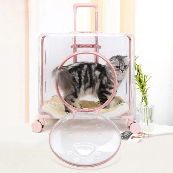 Chariot capsule transparent premium avec roues silencieuses