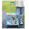 Chariot capsule transparent premium avec roues silencieuses